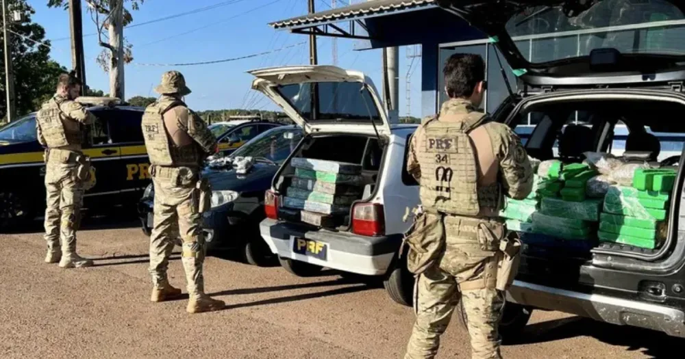 PRF apreende novo tipo de maconha “gourmet” no Paraná