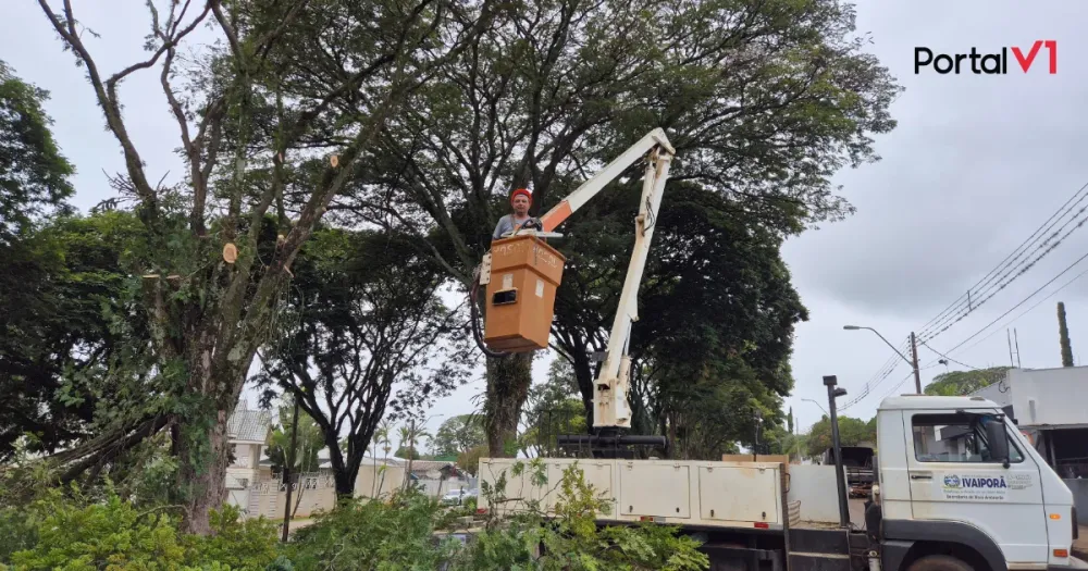 Secretário de Meio Ambiente de Ivaiporã comanda poda no Novo Centro 2 e mostra que entende do assunto
