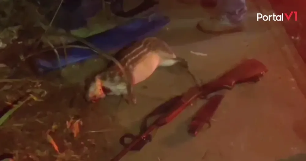 Idoso é preso após matar animal silvestre e esconder espingarda em mata de Apucarana
