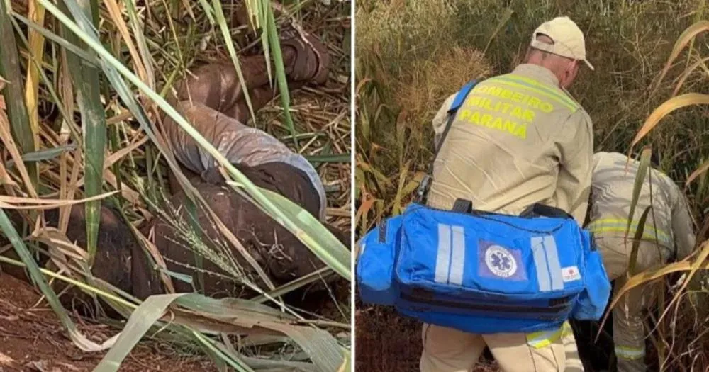 Suspeito de Furto é Agredido, Algemado e Abandonado em Estrada Rural no Paraná