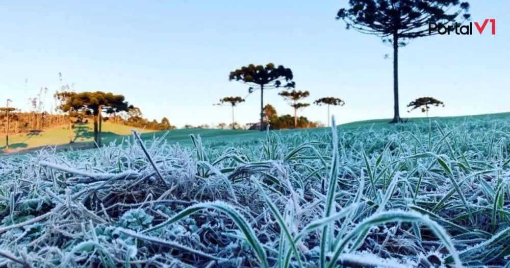 Frio Abaixo de 0°C Pode “Congelar” o Paraná na Próxima Semana com Geadas de Forte Intensidade