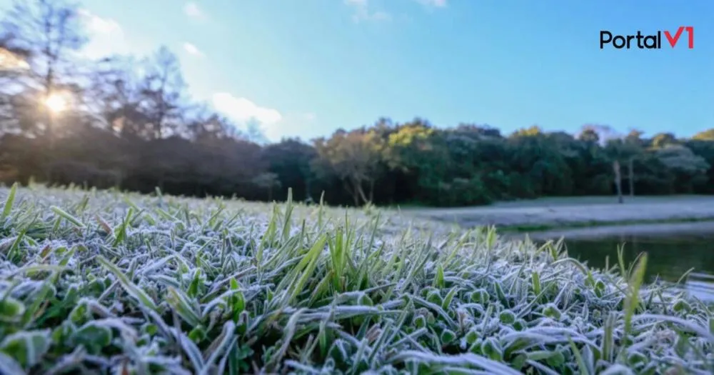 Massa de Ar Polar Avança e Pode Trazer Neve no Sul e Geadas Severas no Paraná
