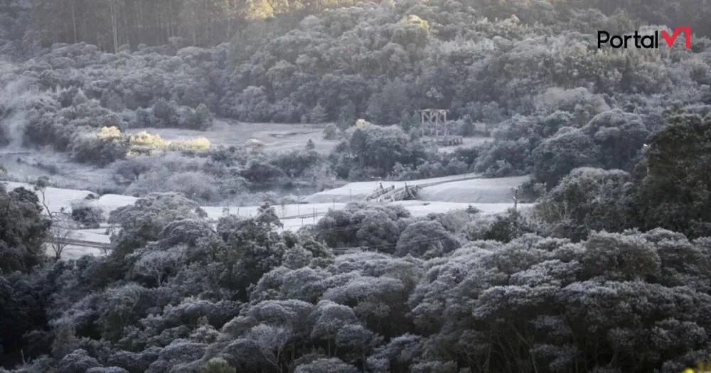 Alerta de Geada no Paraná: 377 Cidades Podem Ter Frio Intenso e Risco para Plantações