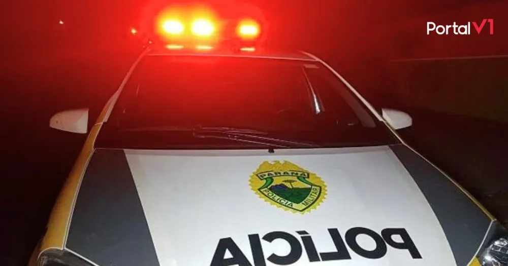 Furto de galinha termina com animal abatido em Marumbi