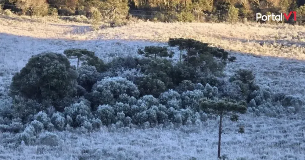 Temperatura despenca para -6,5°C e cidade bate recorde de frio no Brasil em 2025