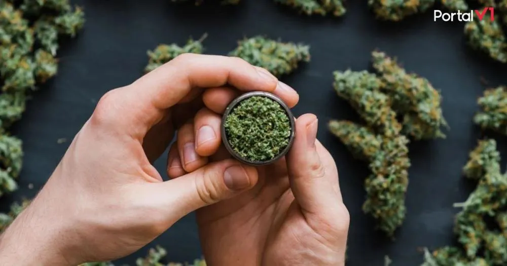 Criança leva maconha para escola em Ariranha e diz que droga foi colocada pelo pai