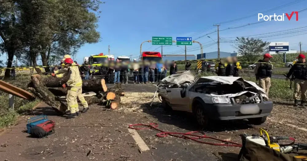 Tragédia na PR-317: árvore cai sobre carro e mata motorista em Maringá
