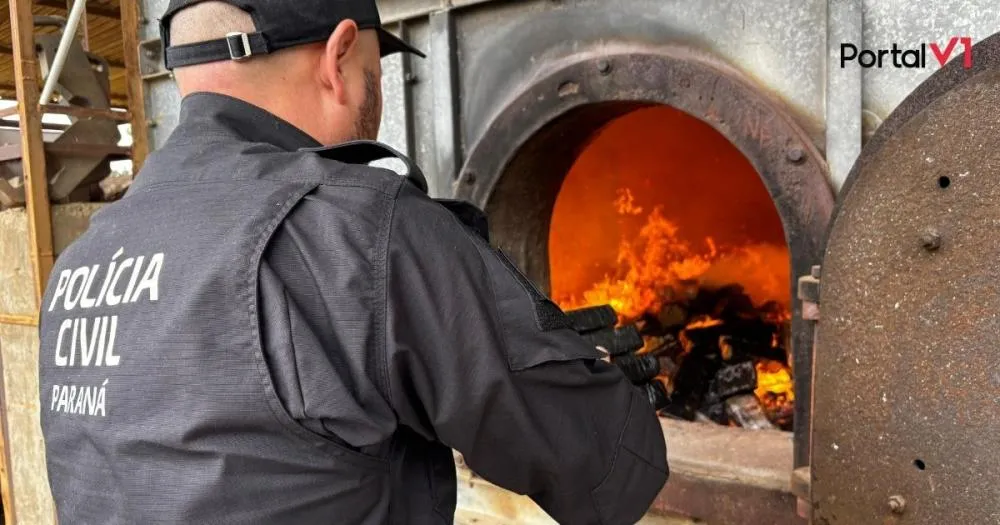 PCPR incinera mais de 700 quilos de drogas em Palmeira e reforça combate ao tráfico