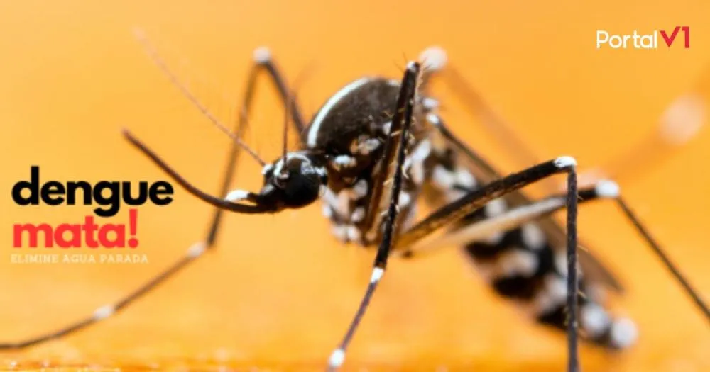 Secretaria de Saúde de Ivaiporã confirma casos de dengue e o primeiro de Chikungunya