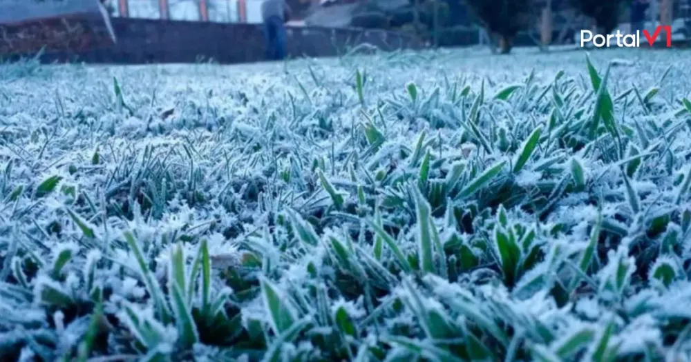 Frio intenso: São Pedro do Ivaí amanhece com geada e sensação térmica de 1 ºC