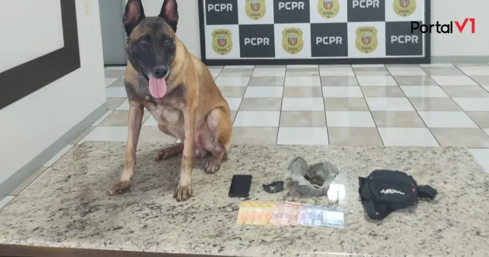 Adolescente é apreendido por tráfico de drogas em Apucarana