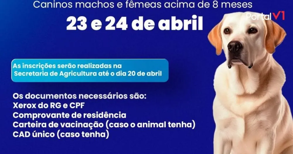 Mutirão de Castrações para Cães em Cândido de Abreu