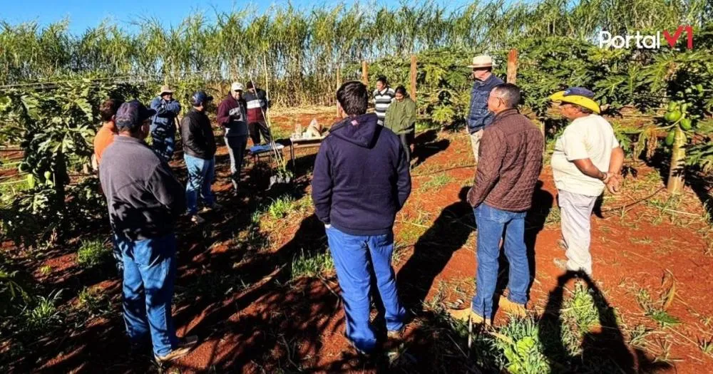 Aula prática orienta produtores de São Pedro do Ivaí sobre cultivo do maracujá