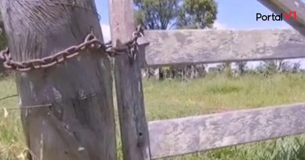 Touro é abatido e tem carne furtada em fazenda de Jandaia do Sul