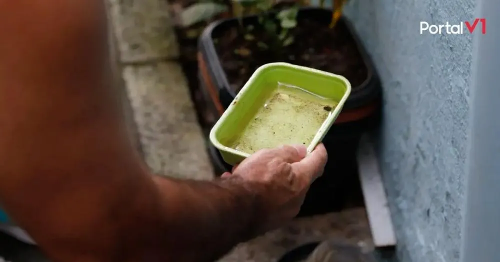 Casos de dengue caem 85% no Paraná em 2025, aponta Secretaria da Saúde