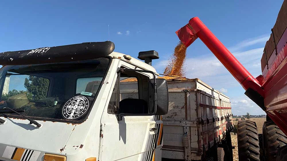 Colheita do milho avança na região de Ivaiporã com expectativa de safra recorde