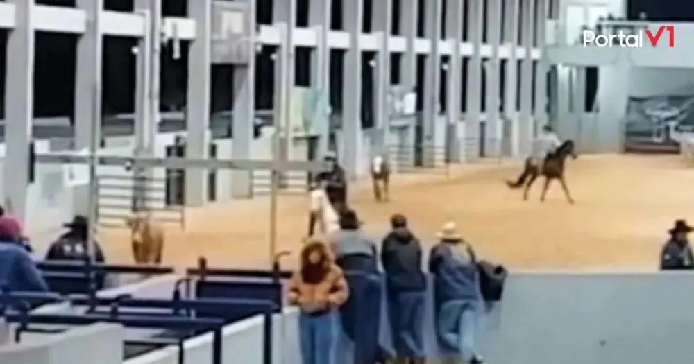 Bebê é pisoteado por gado durante preparação de rodeio no Paraná