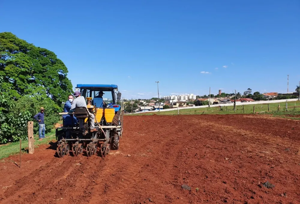 Cotação Agrícola no Paraná: Tendências de Preços e Impactos no Mercado Rural