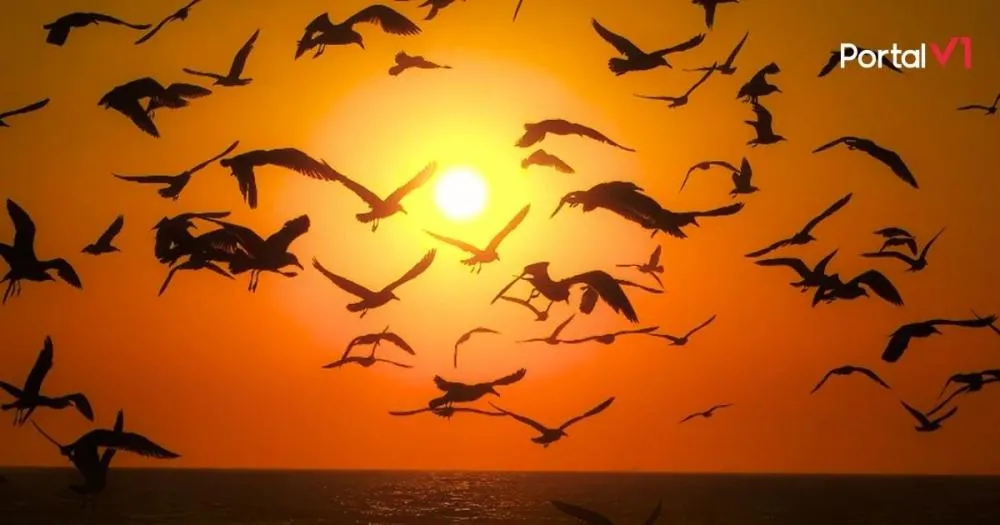 Temperaturas sobem no fim de semana e Norte do Paraná enfrenta calor intenso