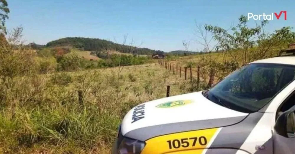 Suspeitos são flagrados furtando aves em propriedade rural de Faxinal