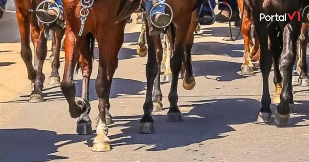 Criança é ferida por cavalo durante festa da Independência em Jardim Alegre