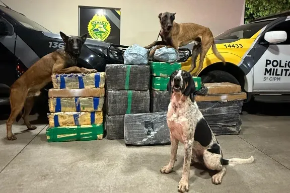 PM do Paraná apreende mais de 430 kg de drogas em duas ações no interior
