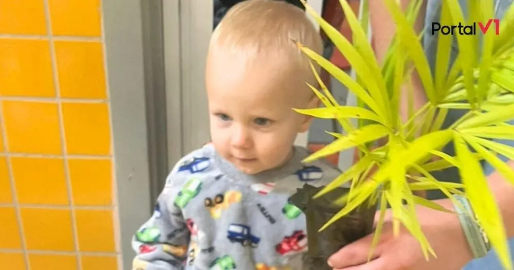 Cândido de Abreu incentiva o plantio de árvores nas escolas do município