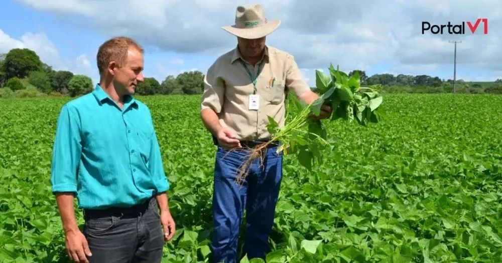 IDR-Paraná abre seleção para contratar 173 profissionais em diversas áreas