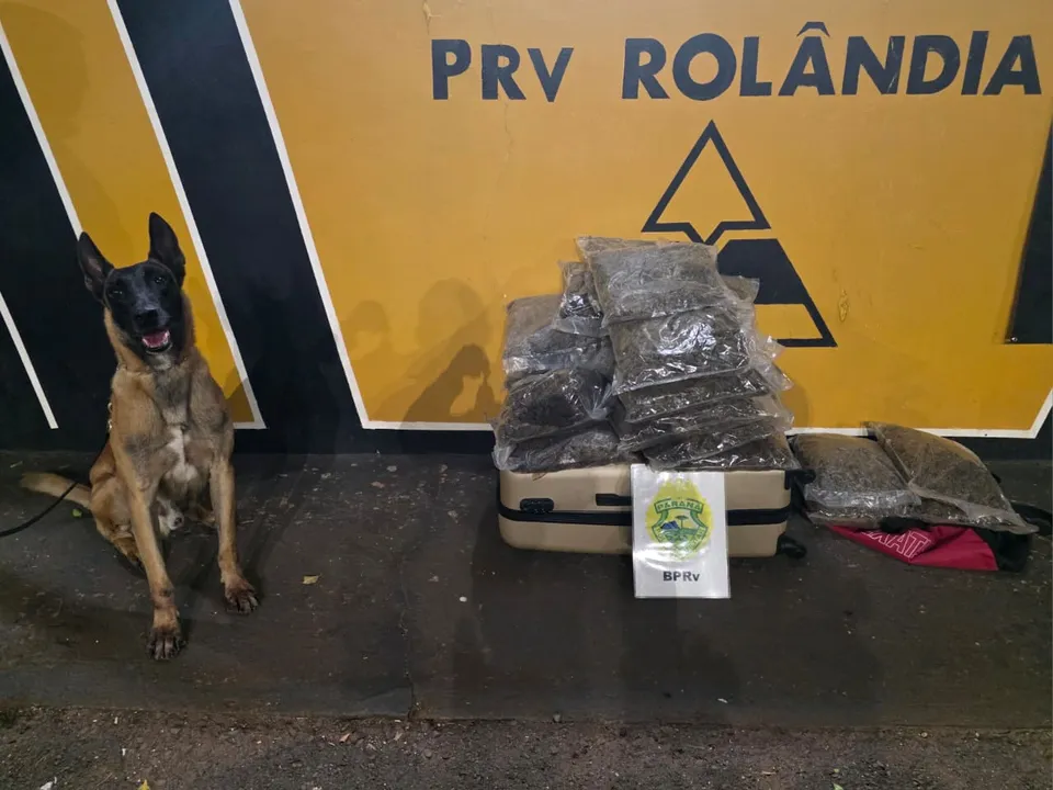 Polícia Rodoviária Prende Mulher com 17 Kg de Maconha em Rolândia