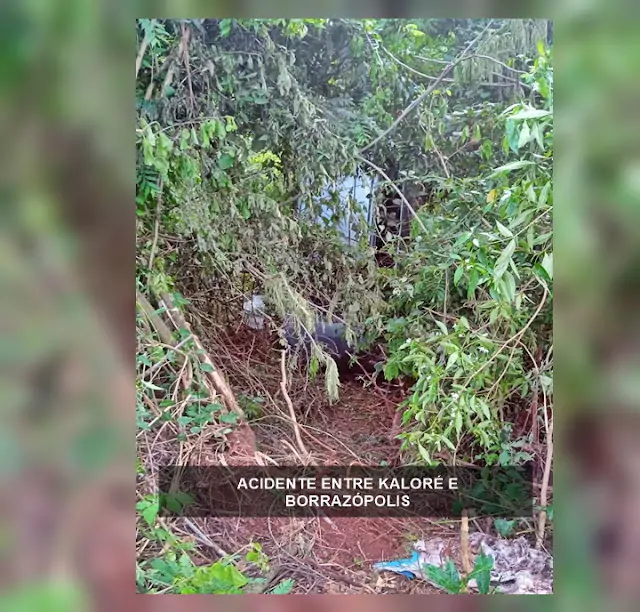 Veículo cai em ponte sobre o Rio Bom e chama atenção na PR-466
