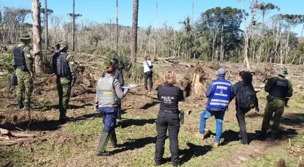 Desmatamento e escravidão: homem é preso em grande operação no Paraná