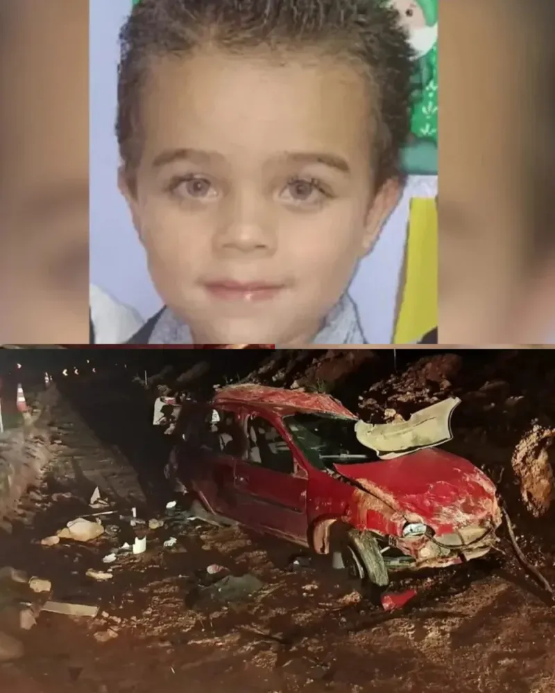 Acidente Fatal em Palmeira: Criança Perde a Vida e Cinco Ficam Feridos