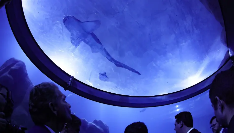 AquaFoz transforma Foz do Iguaçu em capital das águas da América do Sul