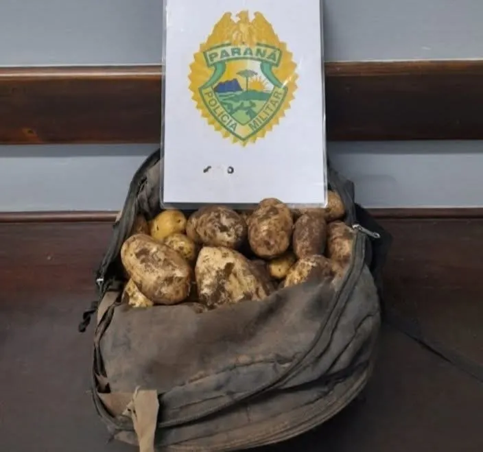 Agricultor denuncia furto e polícia prende jovem com produto colhido ilegalmente