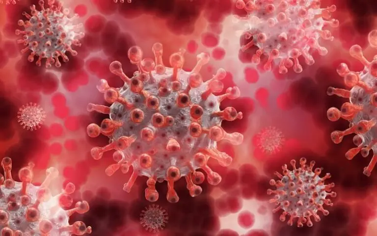 Vírus mortal reaparece, coloca hospital em quarentena e acende alerta internacional