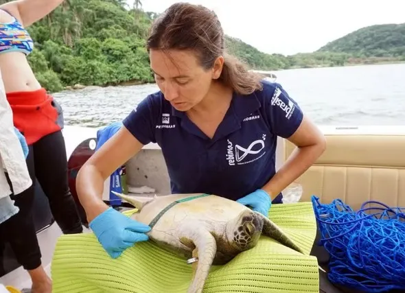 pesquisadora paranaense é finalista do “Oscar da Conservação”
