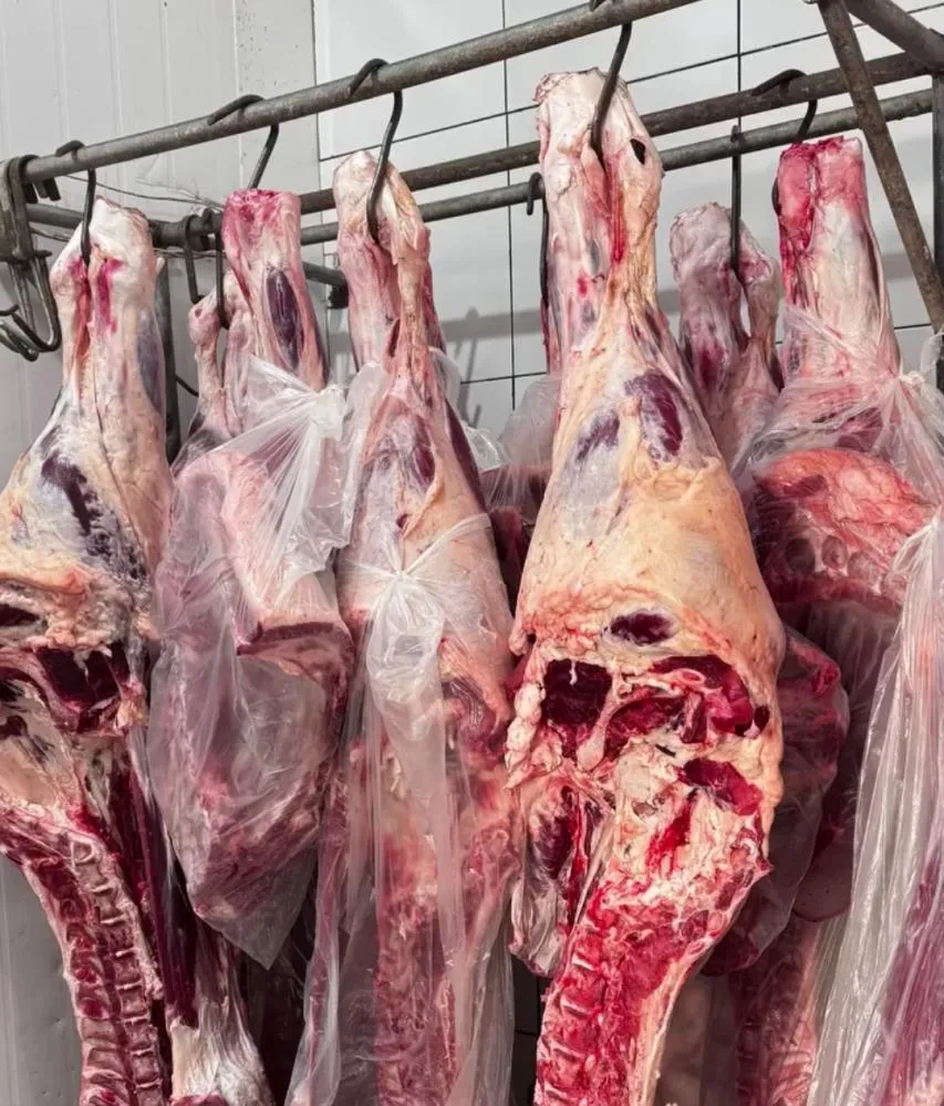 Tradição, qualidade e cortes impecáveis: MR Casa de Carnes é o destino certo para o seu churrasco perfeito