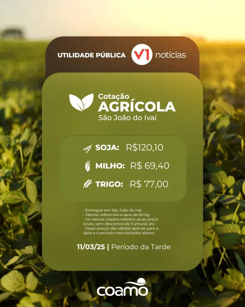 Cotação Agrícola da tarde de 11/03 da Coamo em São João do Ivaí 