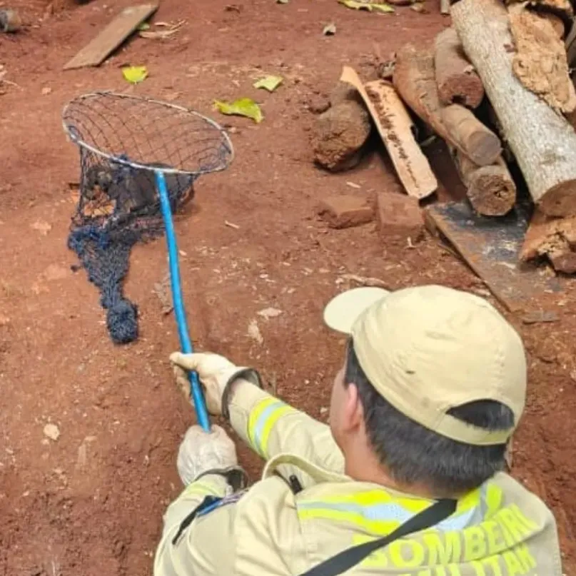 Bombeiros resgatam cachorrinho que caiu em poço de 11 metros em Ivaiporã