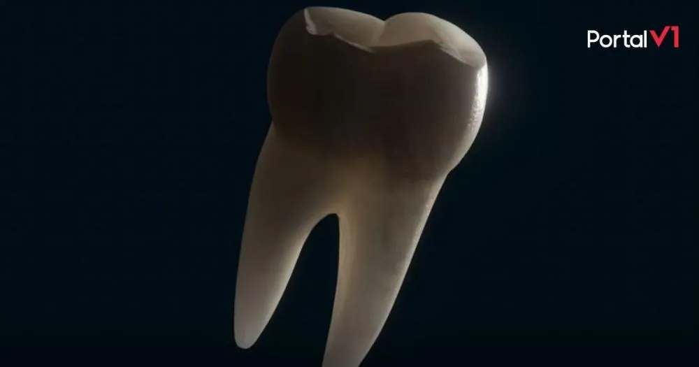 Inovação no tratamento dentário: Primeiro medicamento capaz de regenerar os dentes