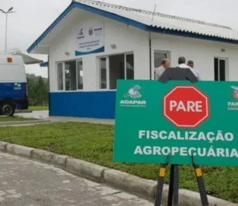 Servidor da Adapar é preso em operação contra grupo suspeito de furtar 2 mil cabeças de gado e causar prejuízo de R$ 10 milhões