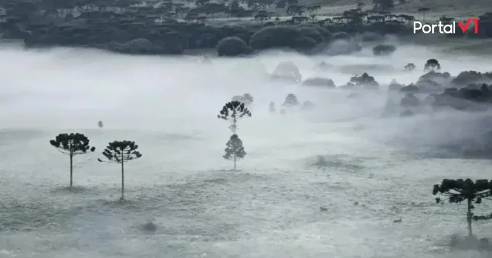 Geada no verão? Cidades do Sul amanhecem congeladas com 2ºC