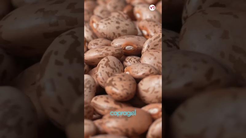 Alimentos Copragel: Sabor e Qualidade em cada Grão